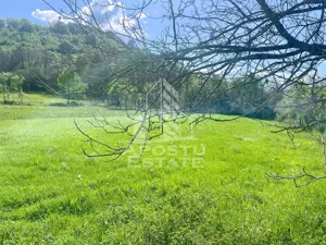 Teren intravilan, partial imprejmuit, eligibil grant- Pojoga, com. Zam - imagine 5