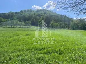 Teren intravilan, partial imprejmuit, eligibil grant- Pojoga, com. Zam - imagine 2