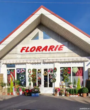 Dau spre închiriere spațiu comercial 75mp Tecuci jud Galati