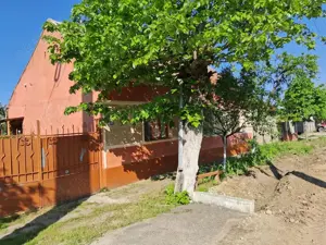 Casa la sat cu gradina mare, 45 km de Timisoara. - imagine 7