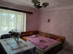 Casa la sat cu gradina mare, 45 km de Timisoara. - imagine 4