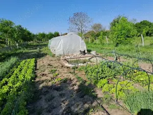 Casa la sat cu gradina mare, 45 km de Timisoara. - imagine 2