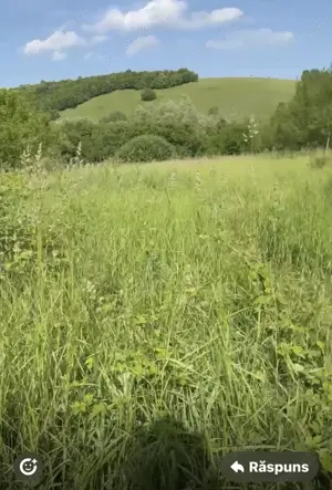 Pamant cu casa batraneasca 
