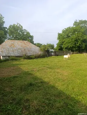 Teren intravilan, Cârligi,com. Stefan cel Mare  - imagine 2