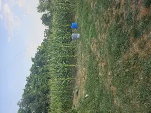 Casa de vanzare + teren ieftina - imagine 3