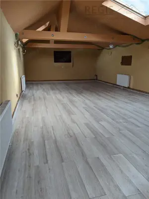 OPORTUNITATE INVESTITIE, TEREN + IMOBIL, TARLUNGENI - imagine 7