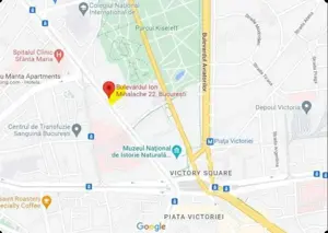 Teren Piața Victoriei 559mp (Casa 4 camere + teren in curte comuna 1000mp) - imagine 2