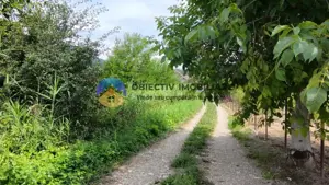 Teren intravilan com. Alexandru cel Bun- Viisoara  - imagine 13