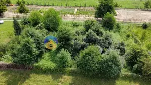 Teren intravilan com. Alexandru cel Bun- Viisoara  - imagine 6