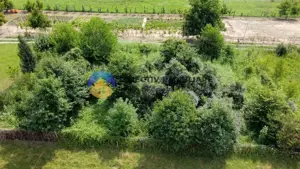 Teren intravilan com. Alexandru cel Bun- Viisoara  - imagine 9