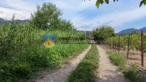 Teren intravilan com. Alexandru cel Bun- Viisoara  - imagine 12