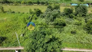 Teren intravilan com. Alexandru cel Bun- Viisoara  - imagine 2