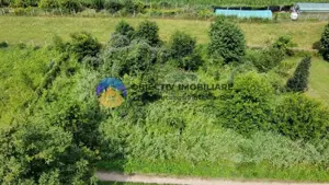 Teren intravilan com. Alexandru cel Bun- Viisoara  - imagine 10