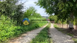 Teren intravilan com. Alexandru cel Bun- Viisoara  - imagine 11