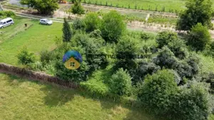 Teren intravilan com. Alexandru cel Bun- Viisoara  - imagine 8