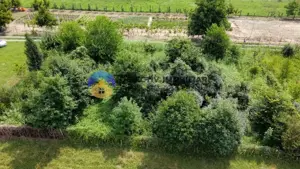 Teren intravilan com. Alexandru cel Bun- Viisoara  - imagine 5