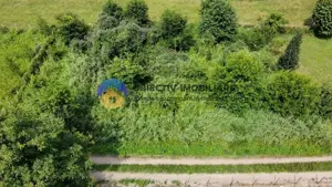 Teren intravilan com. Alexandru cel Bun- Viisoara  - imagine 3