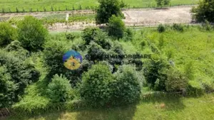 Teren intravilan com. Alexandru cel Bun- Viisoara  - imagine 7