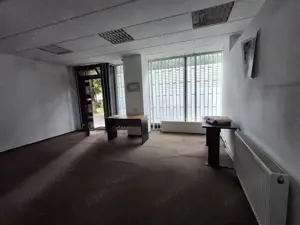 Stefan cel Mare-Badea Cartan stradal 135 mp zona Spital Colentina - imagine 2