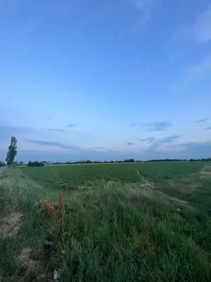 Teren 7500mp Prahova Albesti Paleologu - imagine 2