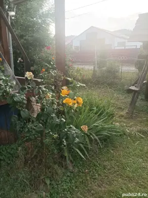 Vând casă+teren - imagine 2 Vând casă+teren - imagine 2