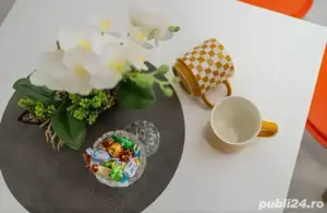 Regim Hotelier Arad, Micalaca