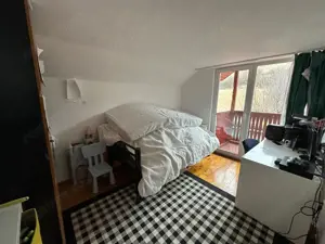 Casa 4 camere , Sancraiul de Mures , Str. Vale , Livada - imagine 8