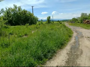 Teren de vânzare comuna Nocrich, județul Sibiu  - imagine 5