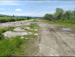 Teren de vânzare comuna Nocrich, județul Sibiu 