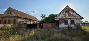 Casa cu gradina de vanzare