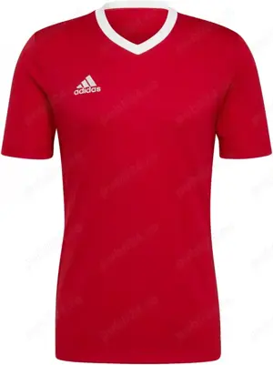 Tricou barbati Adidas ENT22 JSY Rosu (marimile M si L) - imagine 4