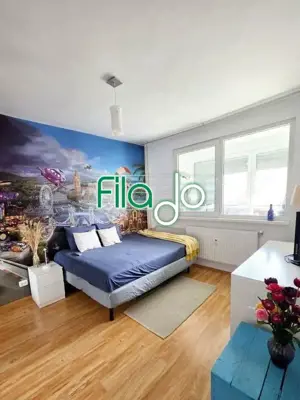 Apartament 2 camere Dristor, Baba Novac - imagine 4