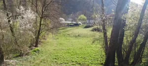 Teren in Comuna Muereasca_suprafata 7489 mp_mixt_situat la 170 m de Primarie