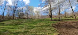 Teren in Comuna Muereasca_suprafata 7489 mp_mixt_situat la 170 m de Primarie