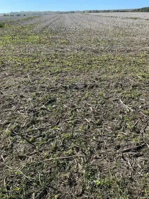 Vand 1,76 ha teren arabil in zona extravilana Posta Calnau