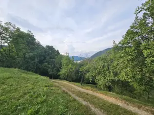 TEREN DE VANZARE SECIURI - imagine 5