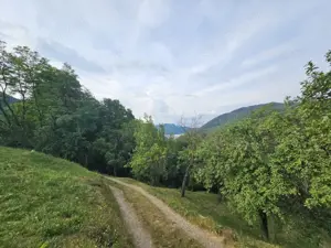 TEREN DE VANZARE SECIURI - imagine 3