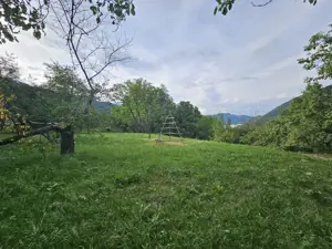 TEREN DE VANZARE SECIURI