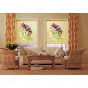 Caut colaboratori montaj jaluzele si rulouri in tara