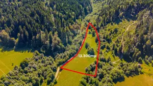 COMISION 0% Teren Brădet 7300 + 6000 mp/ Sacele /Intravilan - imagine 5