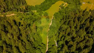 COMISION 0% Teren Brădet 7300 + 6000 mp/ Sacele /Intravilan - imagine 9