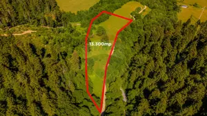 COMISION 0% Teren Brădet 7300 + 6000 mp/ Sacele /Intravilan - imagine 6