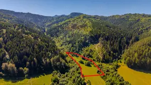 COMISION 0% Teren Brădet 7300 + 6000 mp/ Sacele /Intravilan - imagine 4