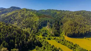 COMISION 0% Teren Brădet 7300 + 6000 mp/ Sacele /Intravilan - imagine 7