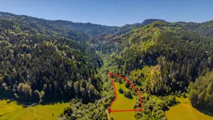 COMISION 0% Teren Brădet 7300 + 6000 mp/ Sacele /Intravilan - imagine 3