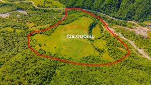 Teren 128.000 mp-Săcele-zona Garcini/ Intravilan - imagine 3