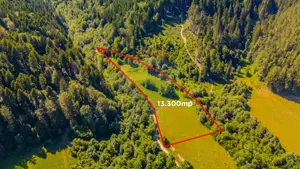 COMISION 0% Teren Brădet 7300 + 6000 mp/ Sacele /Intravilan - imagine 2