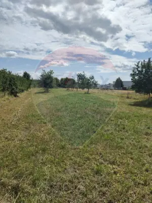 Teren de vânzare în Tautii-Magheraus / Strada 66 - imagine 2