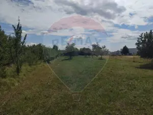 Teren de vânzare în Tautii-Magheraus / Strada 66 - imagine 4