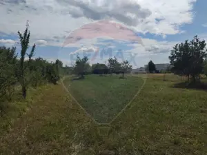 Teren de vânzare în Tautii-Magheraus / Strada 66 - imagine 5